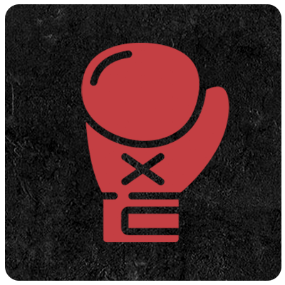Icon Boxhandschuh